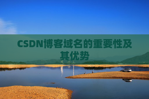CSDN博客域名的重要性及其优势